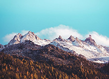 九游app：一站式手游乐园，开启你的专属游戏之旅